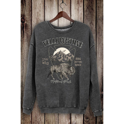 YELLOWSTONE NATIONAL PARK MINERAL SWEATSHIRTS: White / S