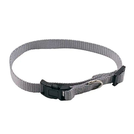 Small Pet Collar