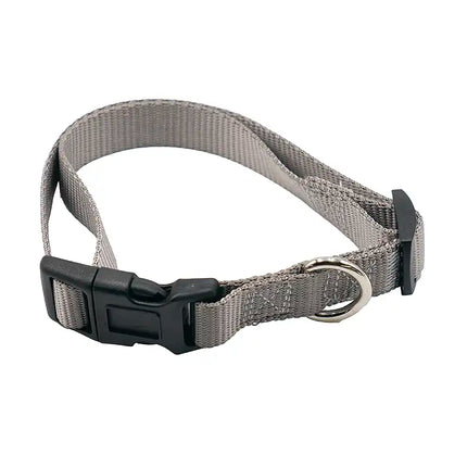 Medium Pet Collar