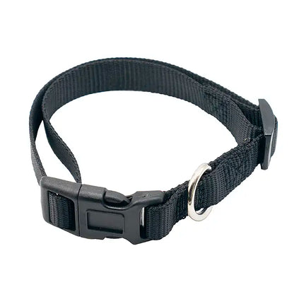 Medium Pet Collar